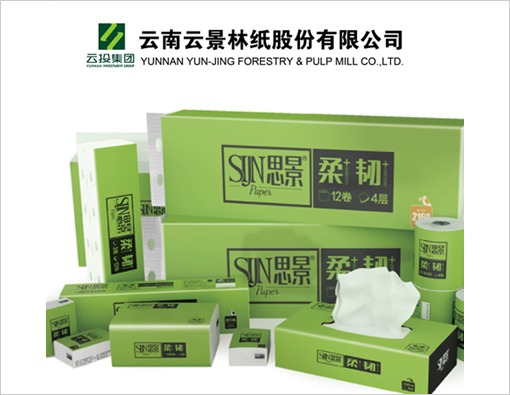 云景林紙品牌營(yíng)銷(xiāo)策劃案