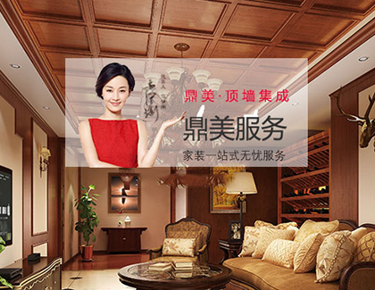 浙江鼎美頂墻集成品牌營(yíng)銷(xiāo)策劃案